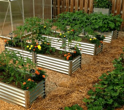 corrugate4d metal gardne box|corrugated steel raised planter bed.